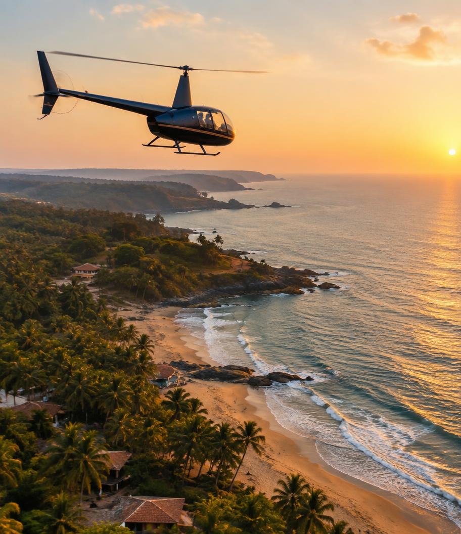 Goa from above