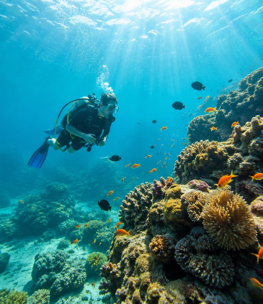 Underwater Goa